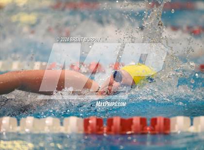 Thumbnail 2 in CHSAA 4A Girls Swimming - State Championship photogallery.
