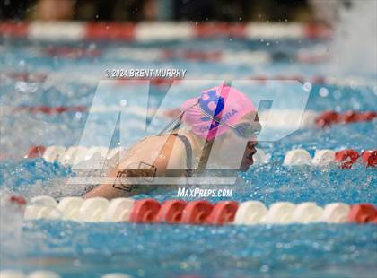 Thumbnail 2 in CHSAA 4A Girls Swimming - State Championship photogallery.