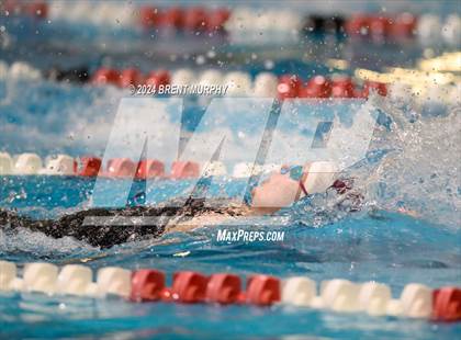 Thumbnail 2 in CHSAA 4A Girls Swimming - State Championship photogallery.