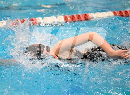 Thumbnail 3 in CHSAA 4A Girls Swimming - State Championship photogallery.