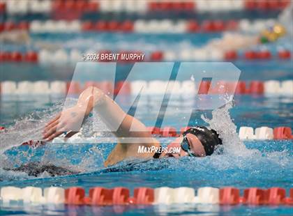 Thumbnail 2 in CHSAA 4A Girls Swimming - State Championship photogallery.