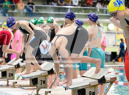 Thumbnail 2 in CHSAA 4A Girls Swimming - State Championship photogallery.