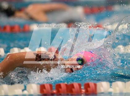 Thumbnail 2 in CHSAA 4A Girls Swimming - State Championship photogallery.