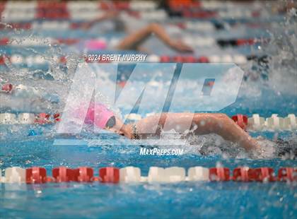 Thumbnail 1 in CHSAA 4A Girls Swimming - State Championship photogallery.
