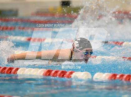 Thumbnail 1 in CHSAA 4A Girls Swimming - State Championship photogallery.