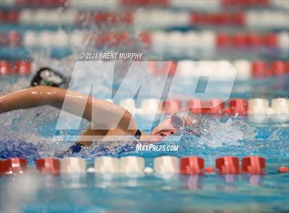 Thumbnail 2 in CHSAA 4A Girls Swimming - State Championship photogallery.