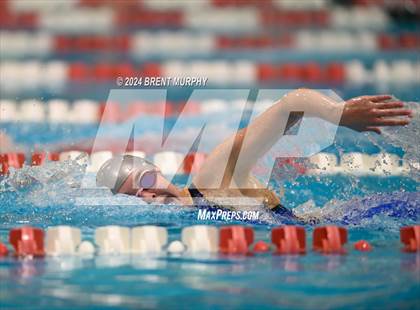 Thumbnail 2 in CHSAA 4A Girls Swimming - State Championship photogallery.