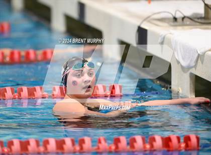 Thumbnail 1 in CHSAA 4A Girls Swimming - State Championship photogallery.