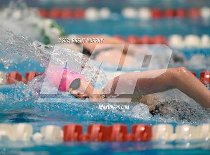 Thumbnail 1 in CHSAA 4A Girls Swimming - State Championship photogallery.