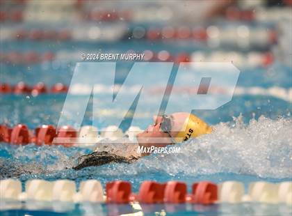 Thumbnail 1 in CHSAA 4A Girls Swimming - State Championship photogallery.
