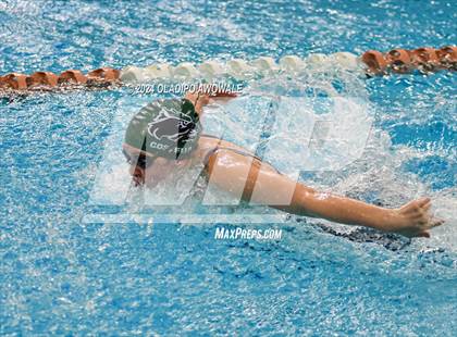 Thumbnail 2 in UIL Swimming & Diving 5A Finals photogallery.