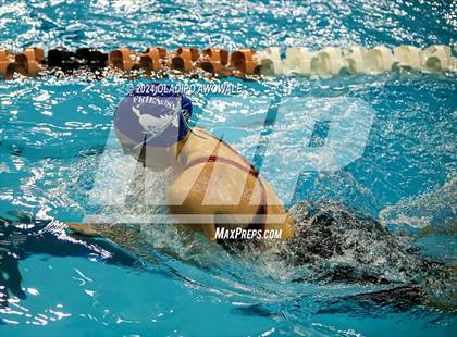 Thumbnail 1 in UIL Swimming & Diving 5A Finals photogallery.