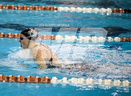 Thumbnail 2 in UIL Swimming & Diving 5A Finals photogallery.