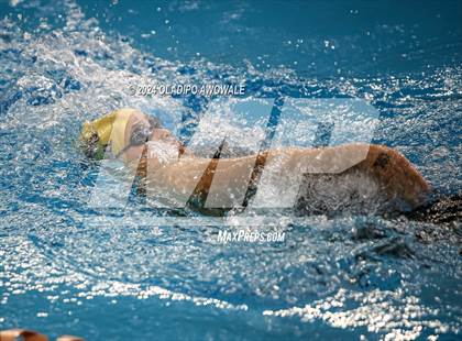 Thumbnail 3 in UIL Swimming & Diving 5A Finals photogallery.