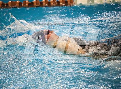 Thumbnail 2 in UIL Swimming & Diving 5A Finals photogallery.