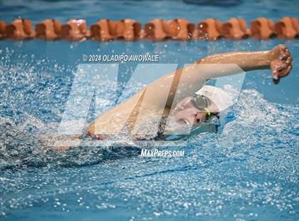 Thumbnail 2 in UIL Swimming & Diving 5A Finals photogallery.