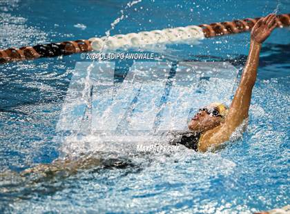 Thumbnail 2 in UIL Swimming & Diving 5A Finals photogallery.