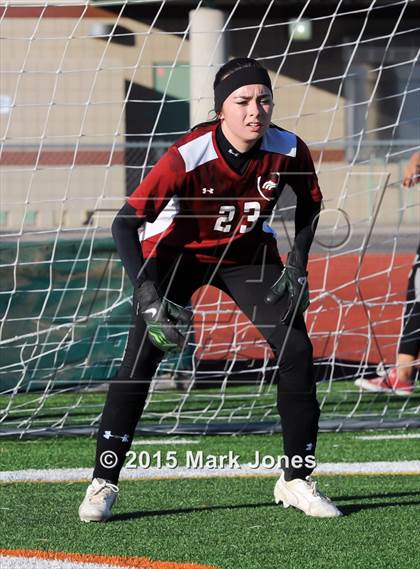 Thumbnail 1 in Fountain Hills vs. Walden Grove (AIA D3 Final) photogallery.