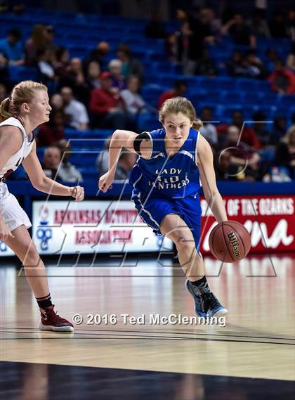 Thumbnail 1 in Beebe vs Greenbrier (AAA 5A 1st Round) photogallery.