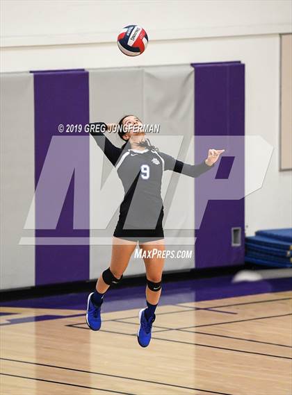 Thumbnail 3 in Petaluma vs. Analy ( CIF NCS D3 Playoff ) photogallery.