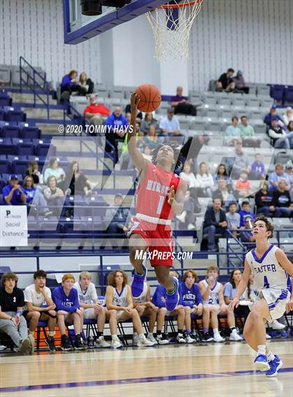 Thumbnail 2 in Hirschi @ Peaster photogallery.