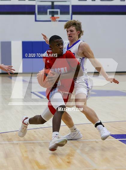 Thumbnail 1 in Hirschi @ Peaster photogallery.