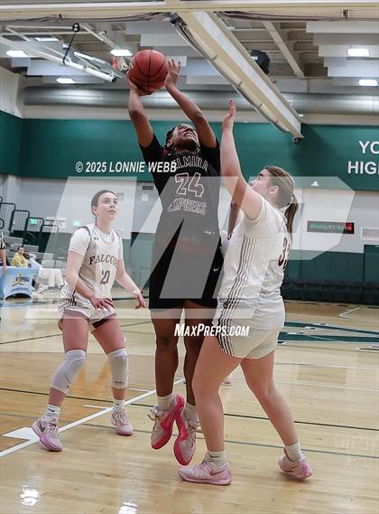 Thumbnail 3 in Elmira vs. Albertus Magnus (NYSPHSAA Class AAA Regional Semifinal) photogallery.