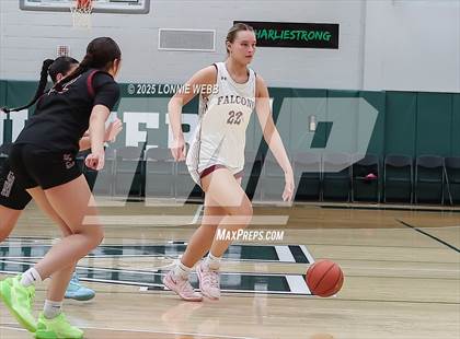 Thumbnail 2 in Elmira vs. Albertus Magnus (NYSPHSAA Class AAA Regional Semifinal) photogallery.