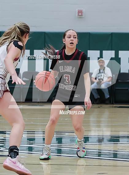 Thumbnail 2 in Elmira vs. Albertus Magnus (NYSPHSAA Class AAA Regional Semifinal) photogallery.