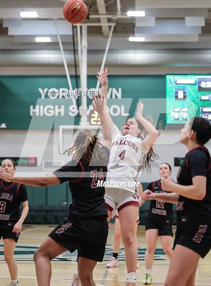 Thumbnail 2 in Elmira vs. Albertus Magnus (NYSPHSAA Class AAA Regional Semifinal) photogallery.