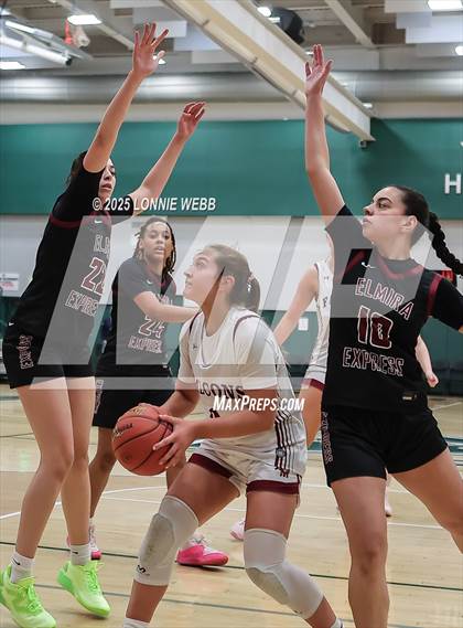 Thumbnail 1 in Elmira vs. Albertus Magnus (NYSPHSAA Class AAA Regional Semifinal) photogallery.