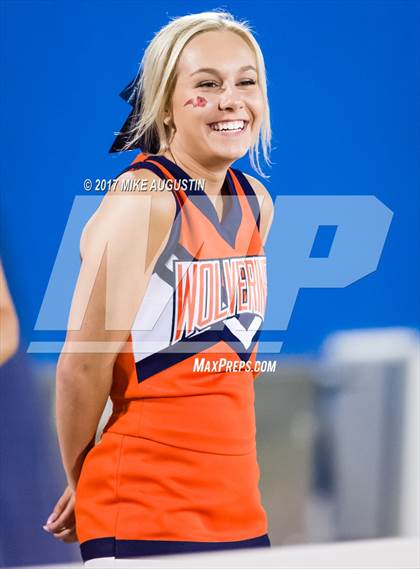 Thumbnail 3 in Lovejoy @ Wakeland photogallery.