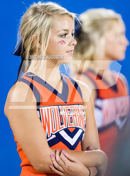 Thumbnail 2 in Lovejoy @ Wakeland photogallery.