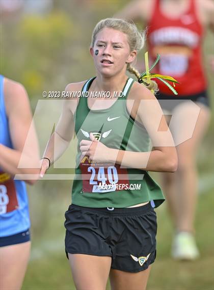 Thumbnail 3 in IHSAA Regionals (Shelbyville) photogallery.