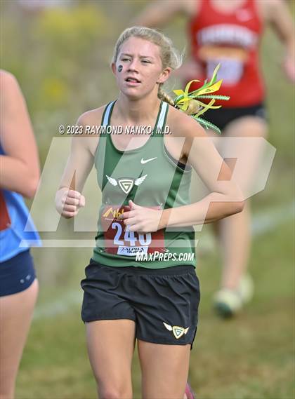 Thumbnail 1 in IHSAA Regionals (Shelbyville) photogallery.