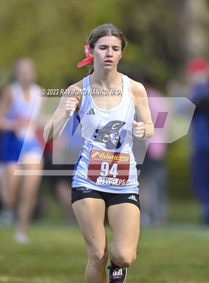 Thumbnail 2 in IHSAA Regionals (Shelbyville) photogallery.