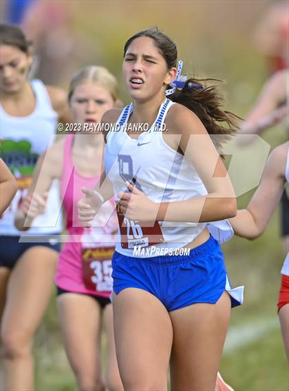 Thumbnail 3 in IHSAA Regionals (Shelbyville) photogallery.