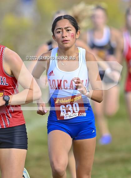 Thumbnail 3 in IHSAA Regionals (Shelbyville) photogallery.