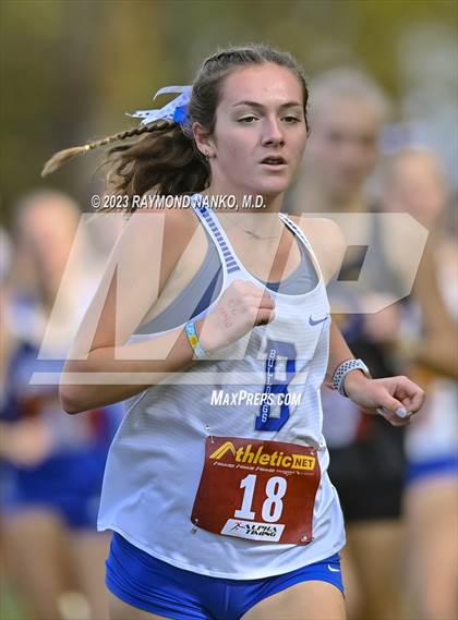 Thumbnail 2 in IHSAA Regionals (Shelbyville) photogallery.