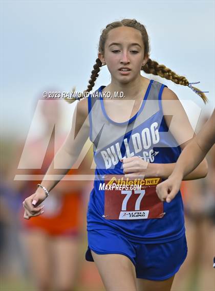 Thumbnail 3 in IHSAA Regionals (Shelbyville) photogallery.