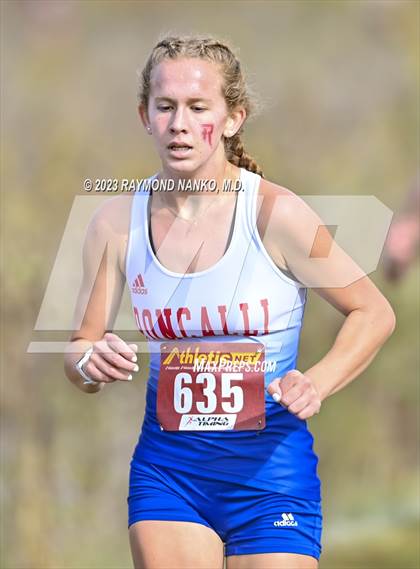 Thumbnail 1 in IHSAA Regionals (Shelbyville) photogallery.