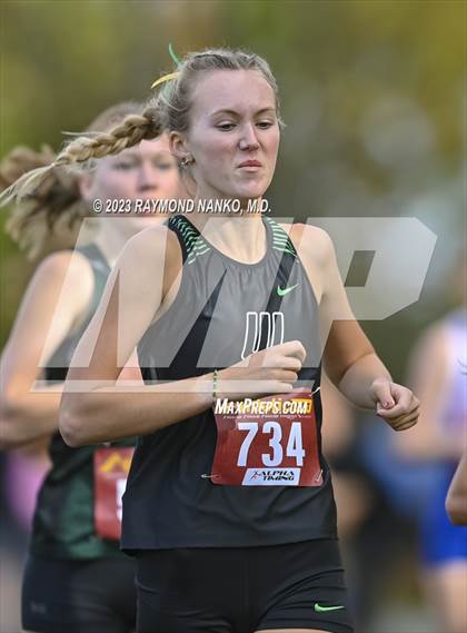 Thumbnail 2 in IHSAA Regionals (Shelbyville) photogallery.