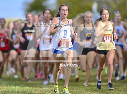 Thumbnail 1 in IHSAA Regionals (Shelbyville) photogallery.