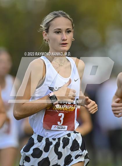 Thumbnail 1 in IHSAA Regionals (Shelbyville) photogallery.