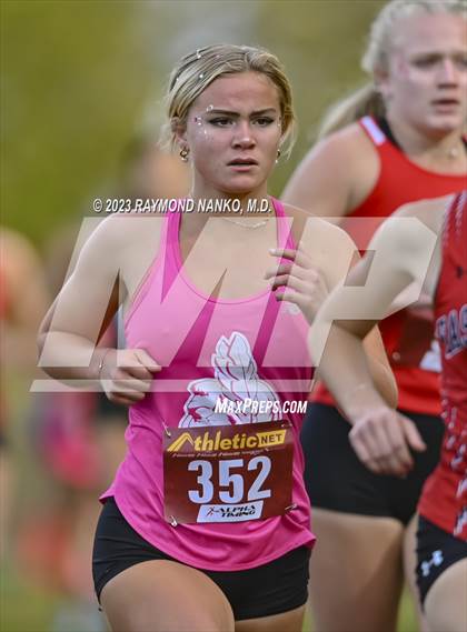 Thumbnail 1 in IHSAA Regionals (Shelbyville) photogallery.
