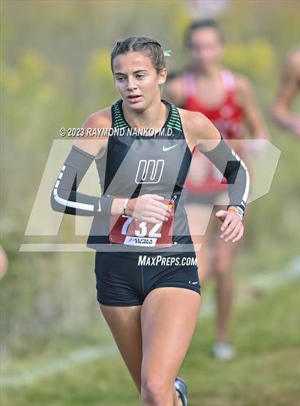 Thumbnail 2 in IHSAA Regionals (Shelbyville) photogallery.
