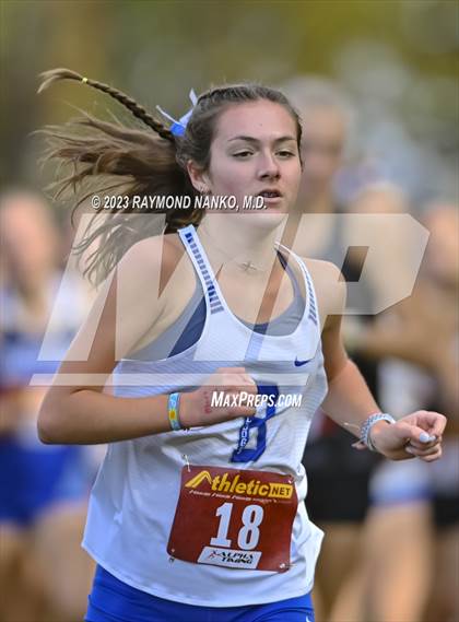 Thumbnail 3 in IHSAA Regionals (Shelbyville) photogallery.