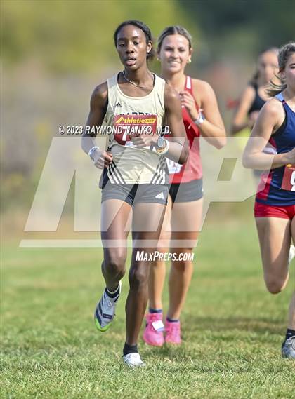 Thumbnail 2 in IHSAA Regionals (Shelbyville) photogallery.