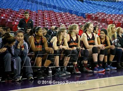 Thumbnail 1 in St. Francis vs Davis photogallery.