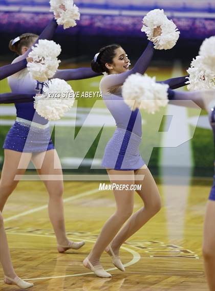 Thumbnail 2 in Highlands Ranch CHSAA Spirit Poms photogallery.